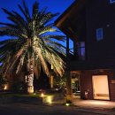 서귀포 자동차프라자 | 햇살 좋은 5월의 제주도 여행 일기 🍊🌴