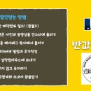 반값애견 이미지