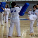 한민족태권도체육관 네이버블로그