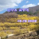 구례군산동면관산보건진료소 | 산수유 꽃동네