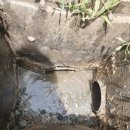 오수정육점 이미지