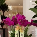 안종우통합치과의원 이미지