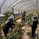 서천군농업기술센터 이미지