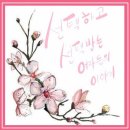 허브앤톡톡