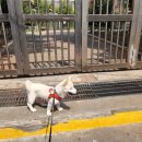 고득영동물병원 이미지