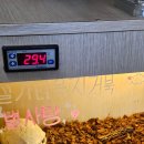 복지과일 | 대경대 동물사육복지과 하계캠프 후기(나의꿈과이것저것...)