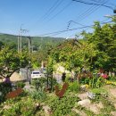 호수로126번길 이미지