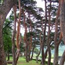 고향마을 이미지