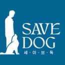 세이브독 이미지