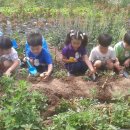 응봉농장 이미지