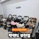 원미구 도약로 239 | 강아지 유모차 매장 <펫랜드 부천점>: 아발론 시승 후기