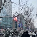 신촌역헤어샵 모발케어 헤어클리닉 우연실장님 솔직후기