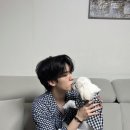 DEAR SOL 이미지