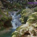 미소카서비스 이미지