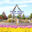 용산리마을 | 전북 남원 가볼만한곳 지리산 허브밸리 실내 온실 키즈존