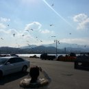 속초시수산업협동조합가공공장