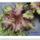 산외중학교 이미지