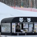 테라스 커피차 이미지