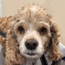 두암동물병원 이미지