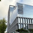 진주사 | B8. 결국 일주일이나 미뤄진 배란 | 난포 주사 오비드렐 처방 | 서울 퍼틸리티 진료 후기