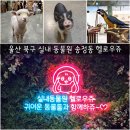 헬로우쥬 카페 이미지