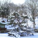 왕의 정원 이미지