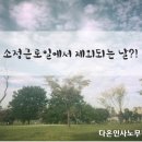 다온인사노무컨설팅