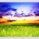 시의국도 | 석기부족을 겪고 있다는 것을 확인했다!!!