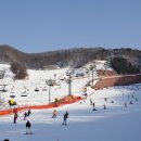 양지파인리조트 이미지