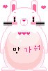 용봉동물병원 이미지