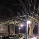 청풍식당 | 제천 금성 제천송어회맛집 청풍황금송어