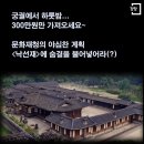 스테이 인가 이미지