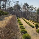 일산수목장