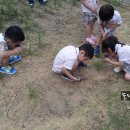 수인사유치원 이미지