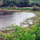 가리골농장 이미지