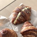 웰브라운(Well Brown) 이미지