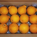 알마니농장 이미지