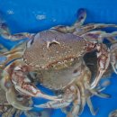 백사장회센터 이미지