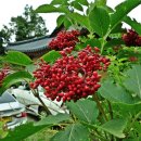 희택농장 이미지