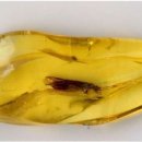 주식회사유시티 이미지