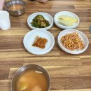 서울식당 - 제주시 함덕13길 5 | [통영] 40년 전통 낙지볶음 "서울식당" 내돈내산 후기