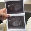 연세제이엘산부인과의원 이미지