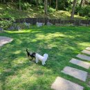 양평소나무펜션 이미지