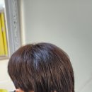 남종진다모의원 이미지