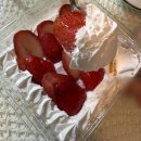 어금니 사랑니 치아 발치 후 먹기 좋은 부드러운 식사 추천 죽, 연두부, 디저트 내돈내산 후기