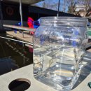 패밀리낚시터 | 인천에서 30분! 시흥 빙어축제 명소, 몸만 가면 되는 패밀리야외낚시터 아이들과 다녀온 후기