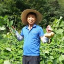 마뜰농장 네이버블로그