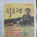 닭통령