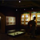 영월곤충박물관 이미지