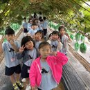 이레농장2 이미지